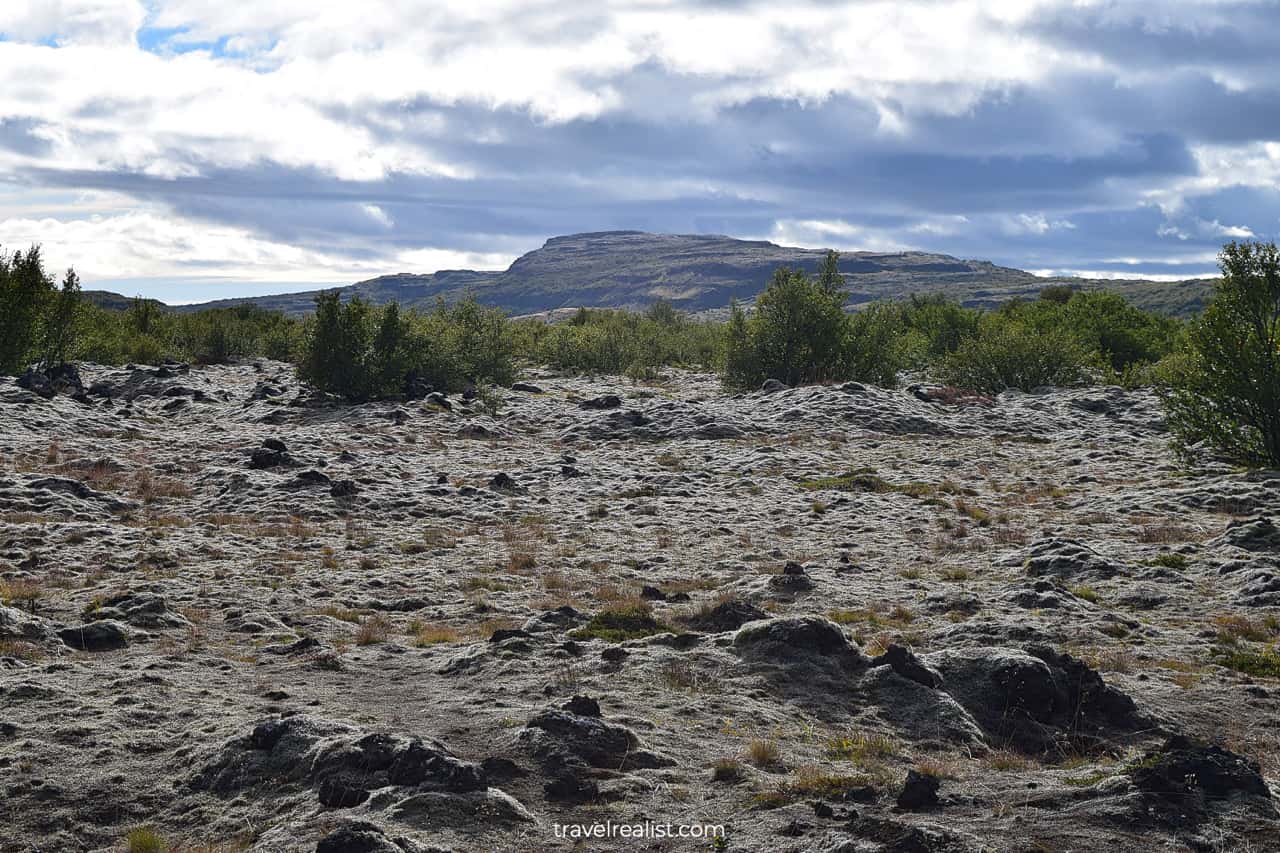 Lava beds in Western Region, Iceland