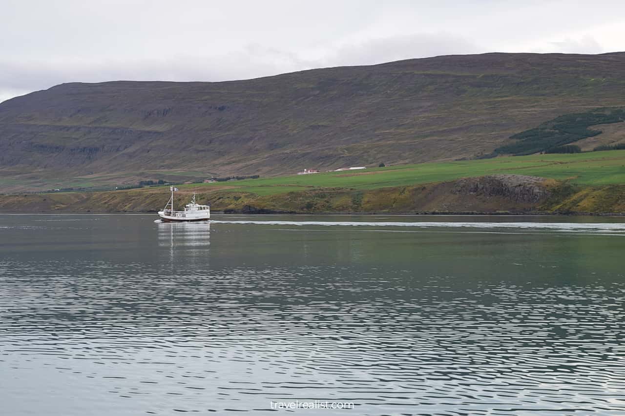 Boat in Eyjafjörður fjord on whale watching Iceland tour in Akureyri