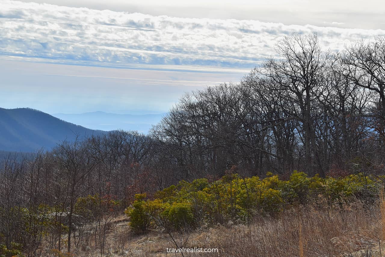 Summer view from Thorofare Mountain Overlook in Shenandoah National Park, Virginia, US