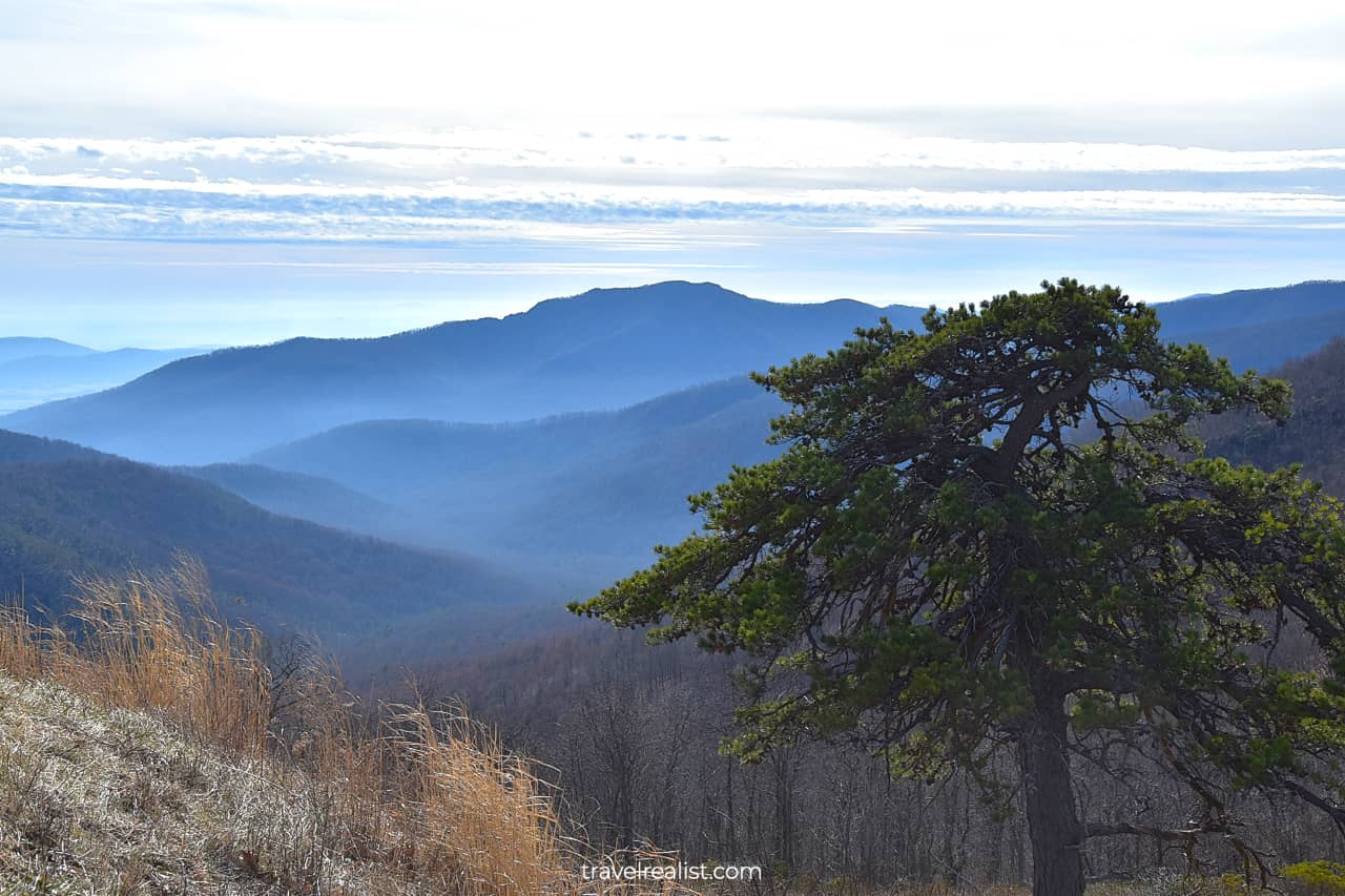 Pinnacles Overlook in Shenandoah National Park, Virginia, US