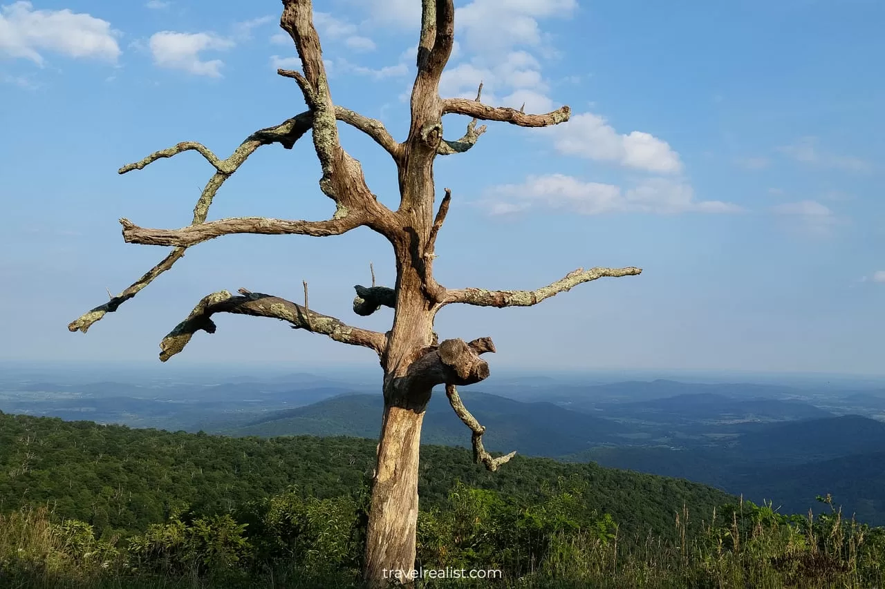 Little Devils Stairs Overlook in Shenandoah National Park, Virginia, US