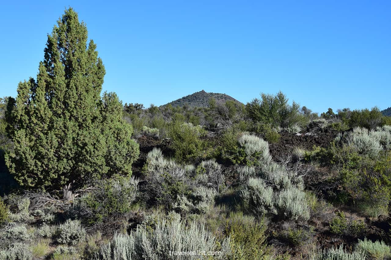 Hippo Butte in Lava Beds National Monument, California, US