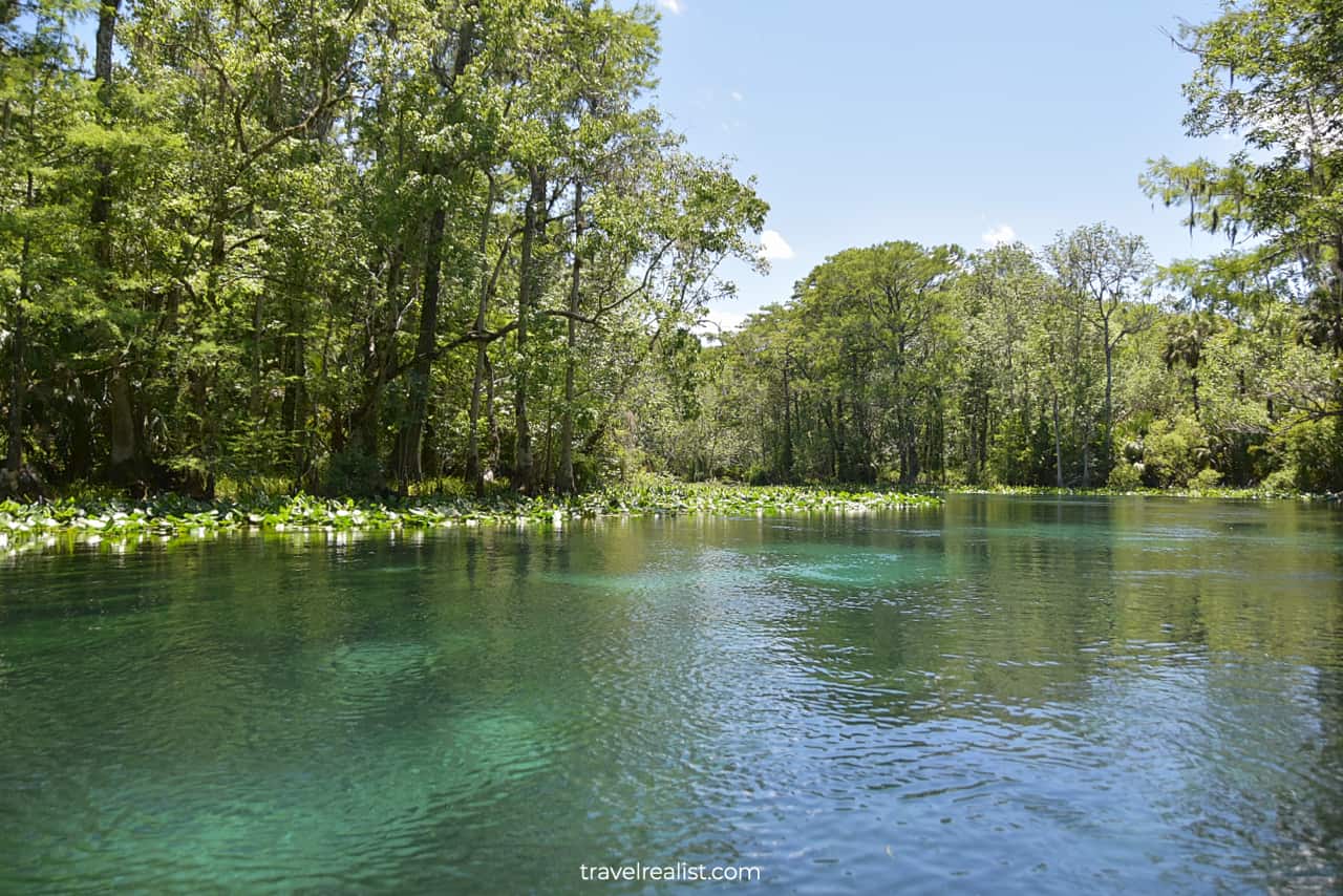 Blue and green springs in Silver Springs State Park, Florida, US