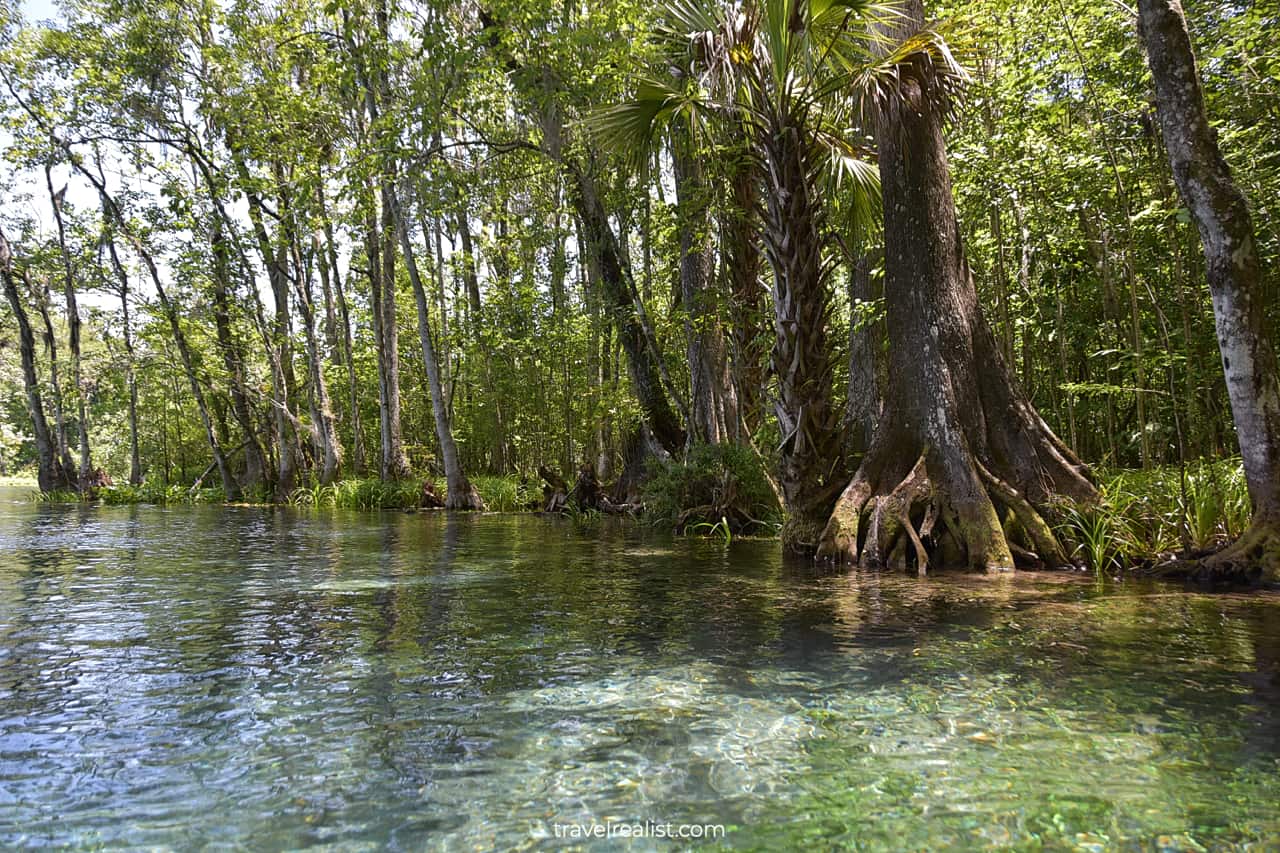 Starting point of kayaking and paddle boarding tours in Silver Springs State Park, Florida, US