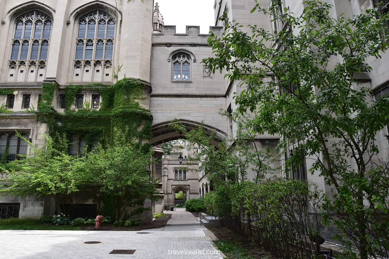 University of Chicago campus in Chicago, Illinois, US