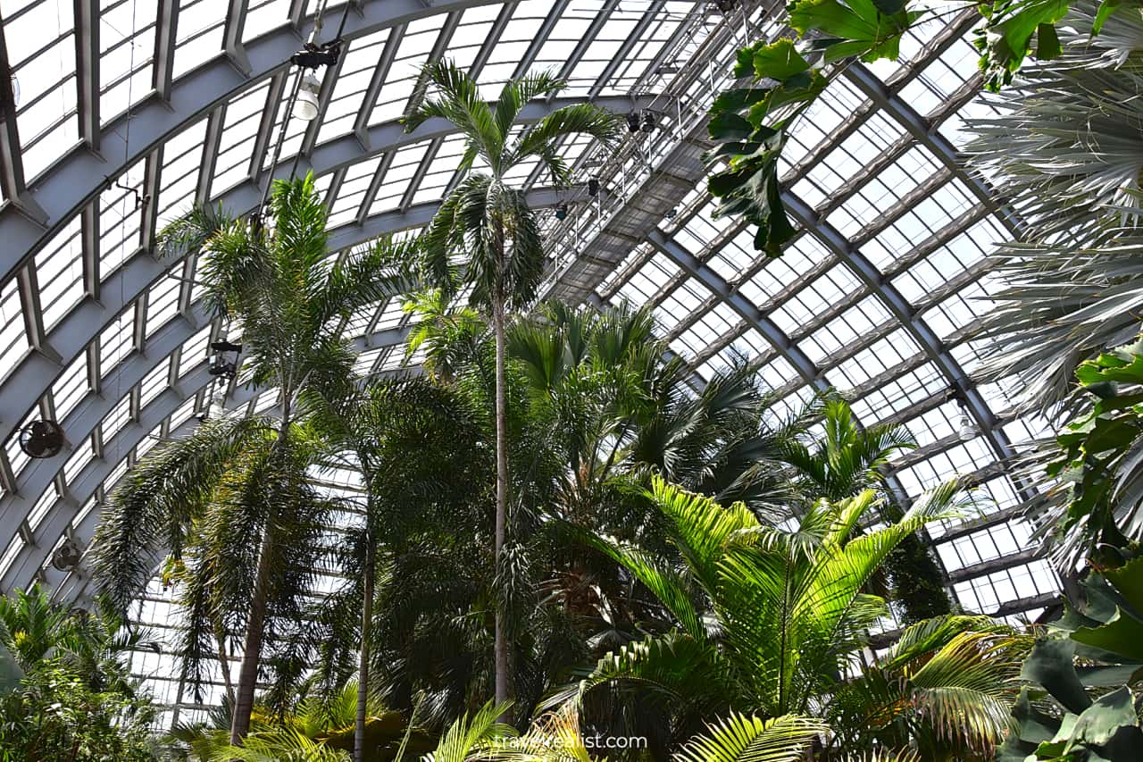 Palm House in Garfield Park Conservatory, Chicago, Illinois, US