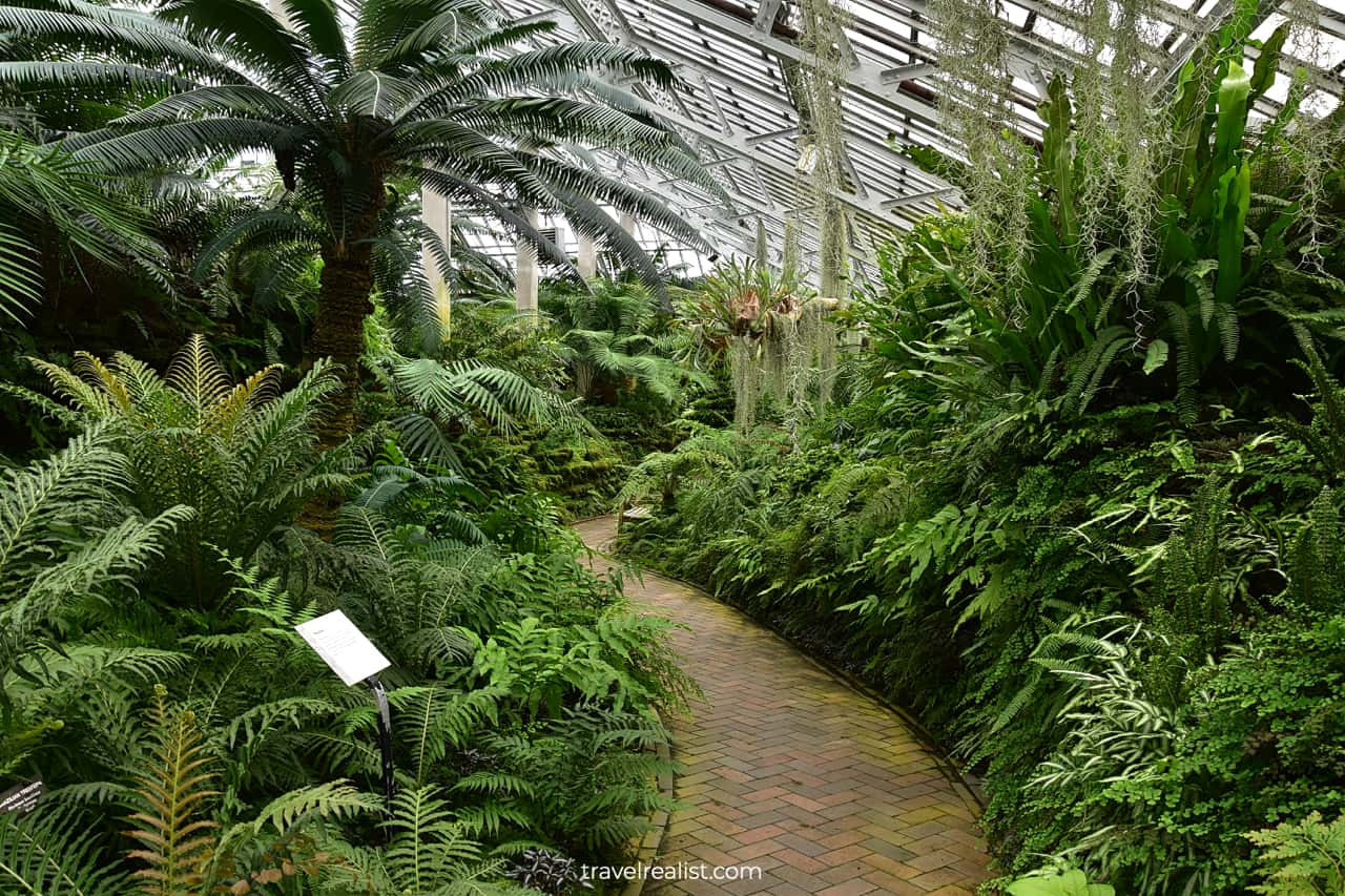 Path across Fern Room in Garfield Park Conservatory, Chicago, Illinois, US