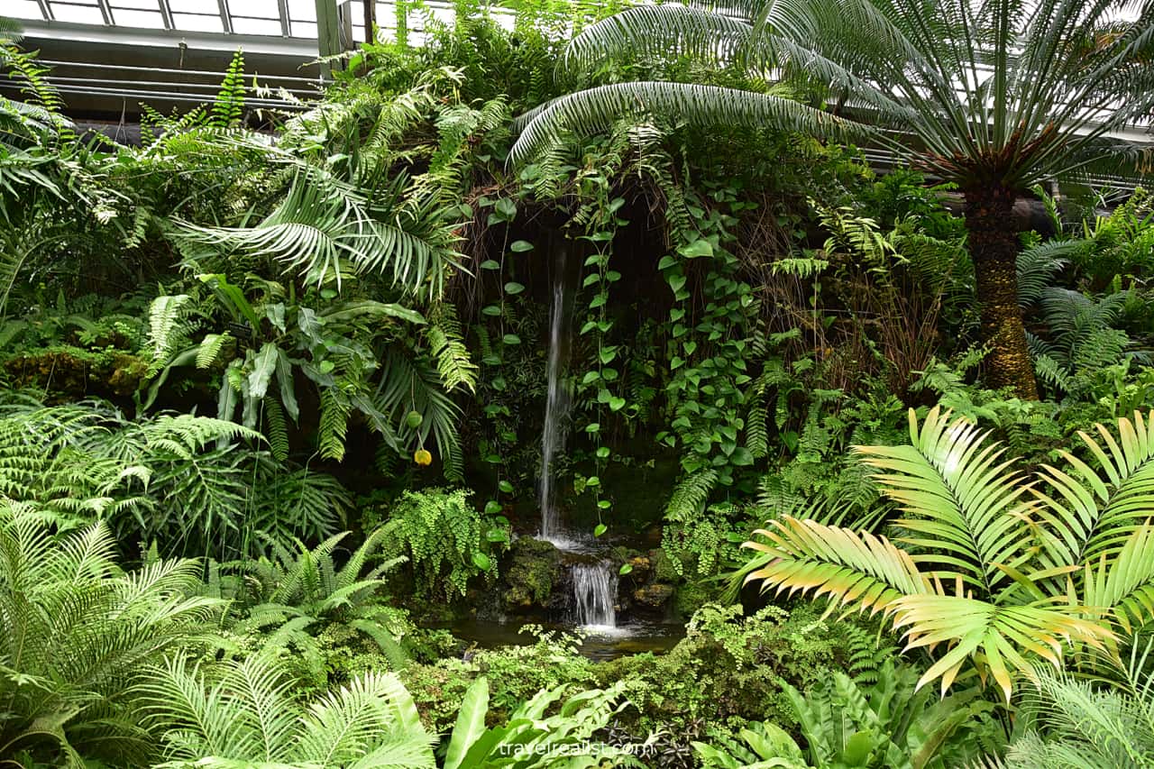 Waterfall in Fern Room in Garfield Park Conservatory, Chicago, Illinois, US