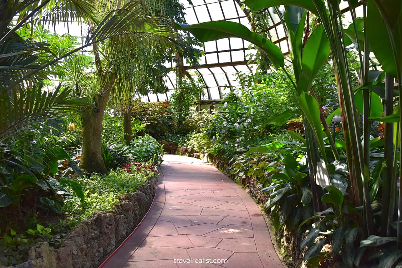 Palm House in Lincoln Park Conservatory, Chicago, Illinois, US