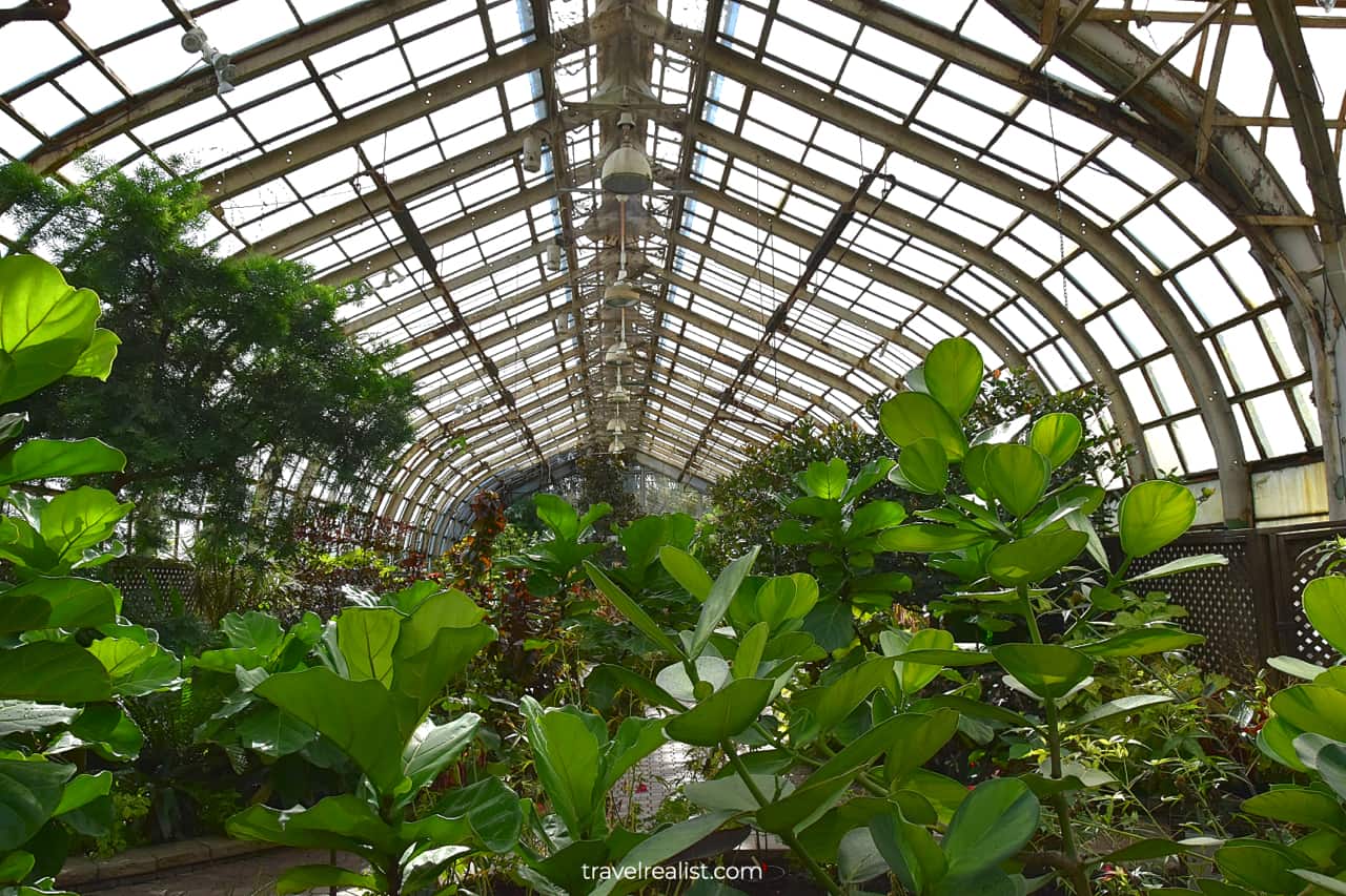 Greenhouse in Lincoln Park Conservatory, Chicago, Illinois, US