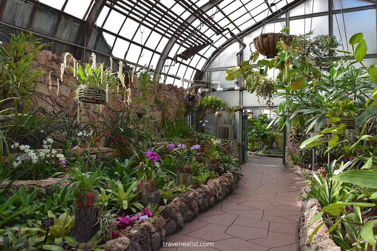 Orchid House in Lincoln Park Conservatory, Chicago, Illinois, US