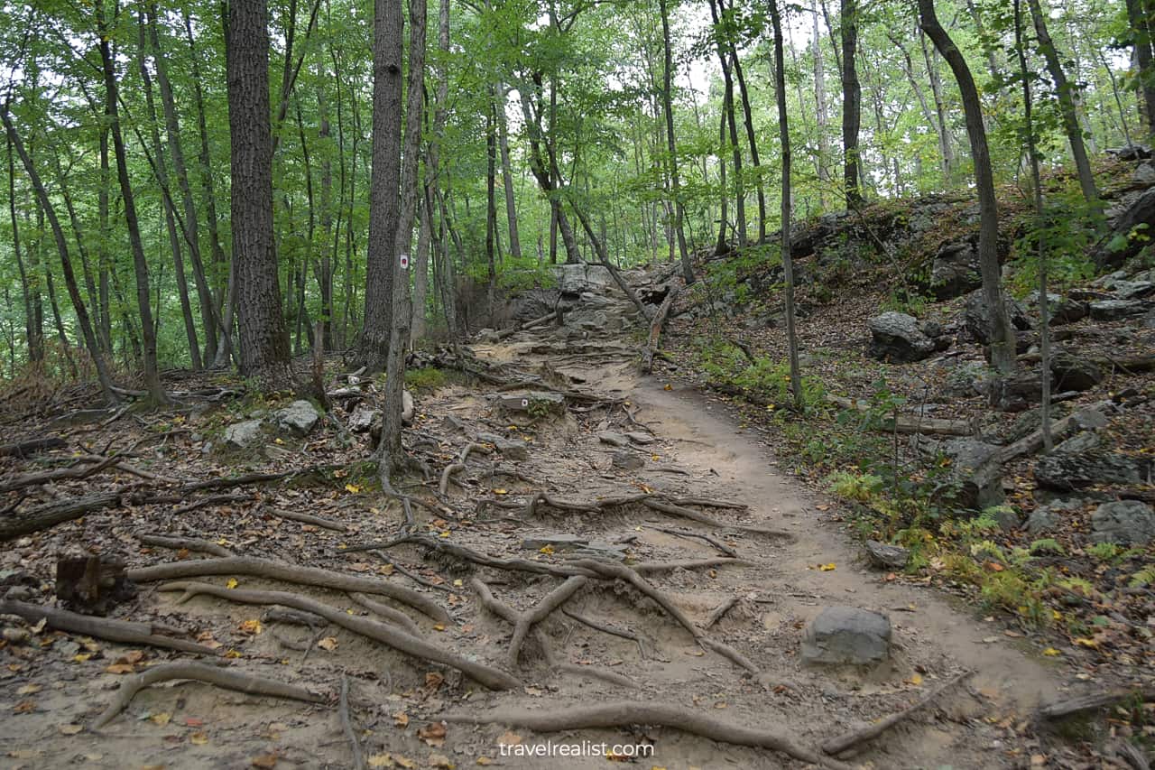 Roots and rocks at Mt Tammany Trailhead in Delaware Water Gap National Recreation Area, Pennsylvania, New Jersey, US