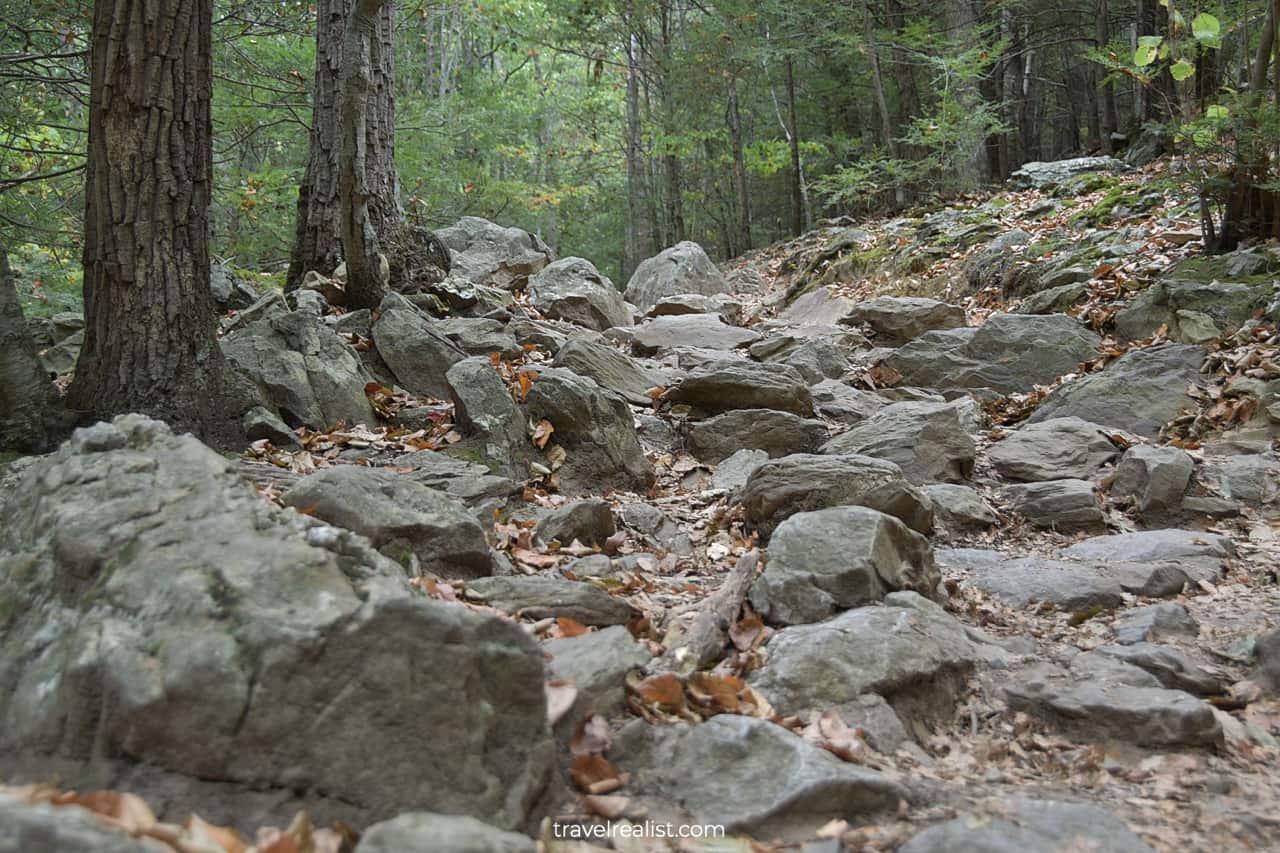 Rocks on trail in Delaware Water Gap National Recreation Area, Pennsylvania, New Jersey, US