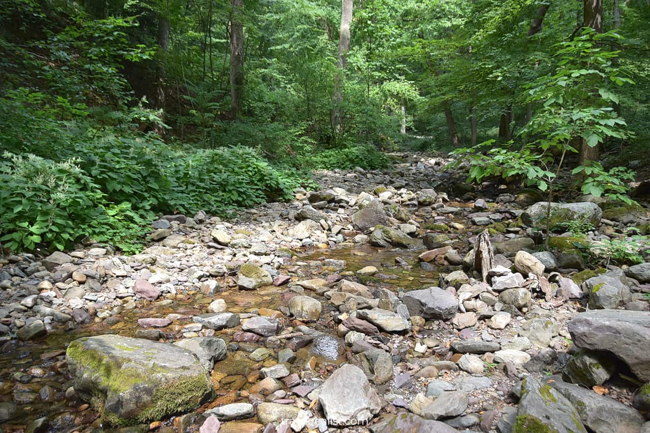 Dunnfield Creek near Appalachian Trail in Delaware Water Gap National Recreation Area, Pennsylvania, New Jersey, US