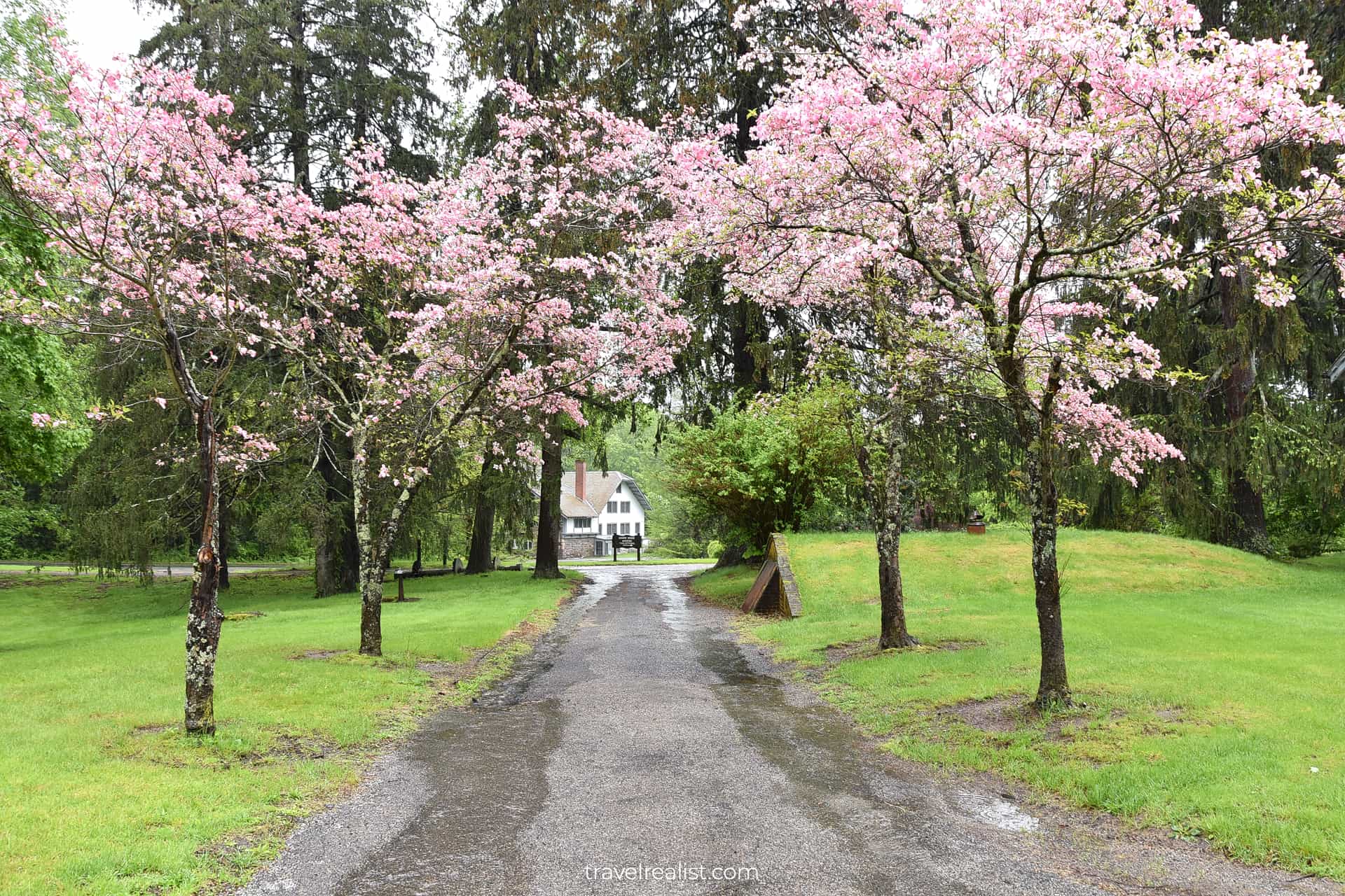 Spring blossom season in Ringwood State Park, New Jersey, US