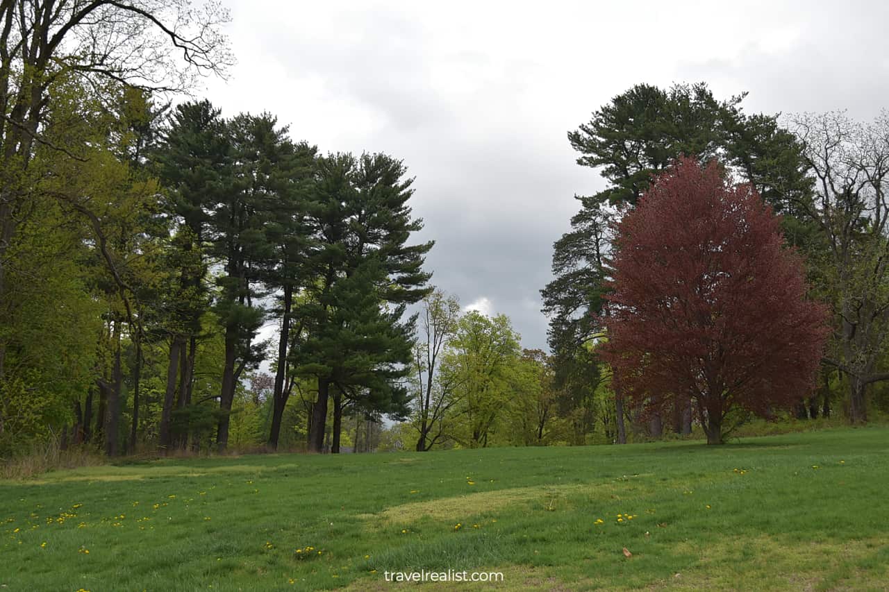 Blooming fields and evergreen trees in Staatsburgh State Historic Site, New York, US