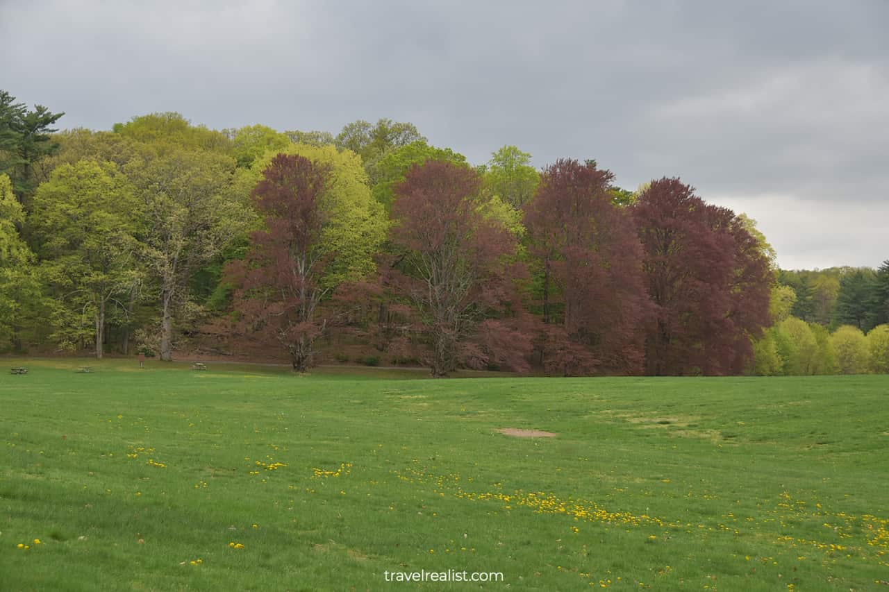 Meadows and groves in Staatsburgh State Historic Site, New York, US