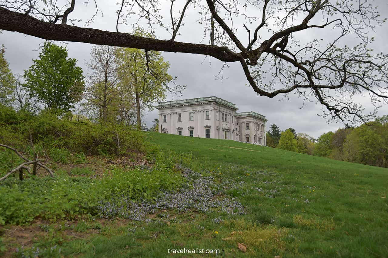 Mills Mansion, tree branch, and blooming flowers in Staatsburgh State Historic Site, New York, US