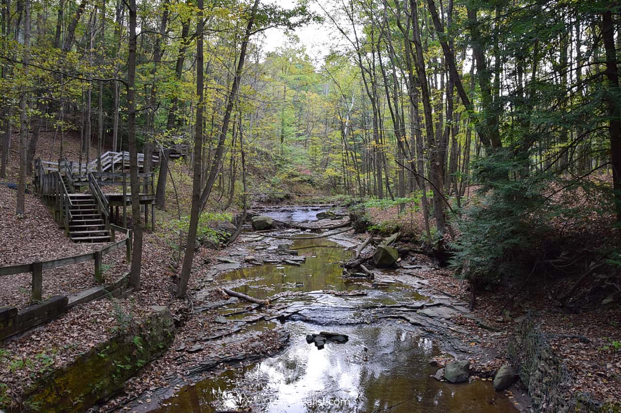 Boardwalk along creek in Cuyahoga Valley National Park, Ohio, US