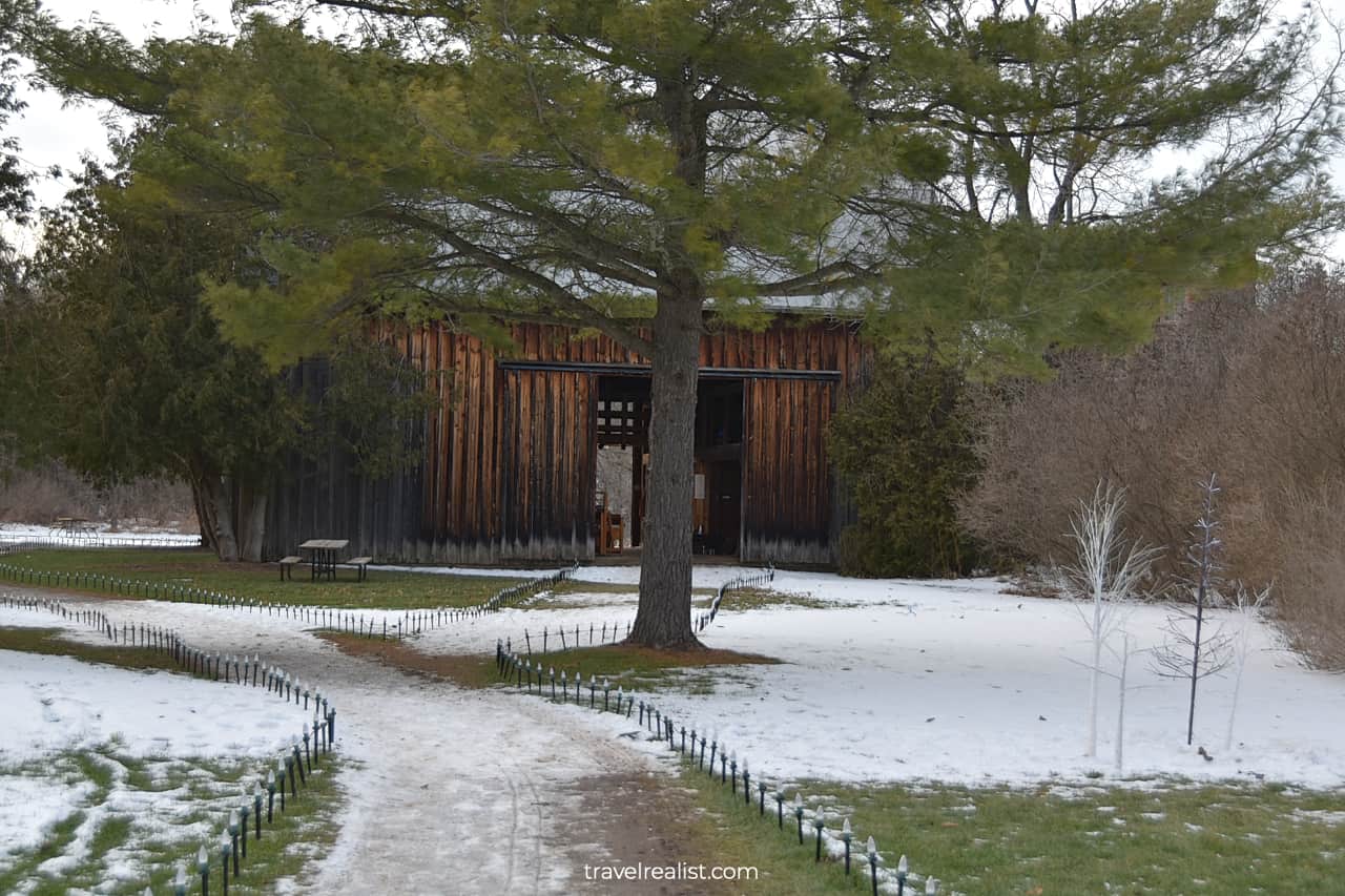 Display Barn and evergreen tree in Ball's Falls Conservation Area, Lincoln, Ontario, Canada