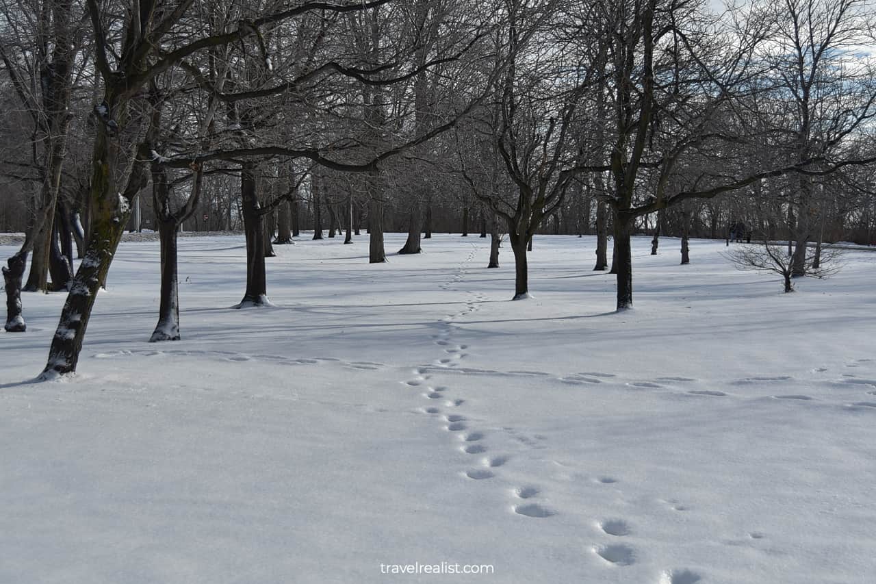 Footsteps in snow on Goat Island in Niagara Falls State Park, New York, US