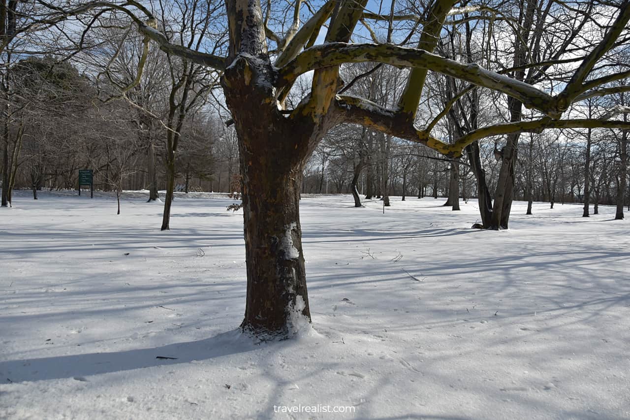 Snowy Goat Island in Niagara Falls State Park, New York, US