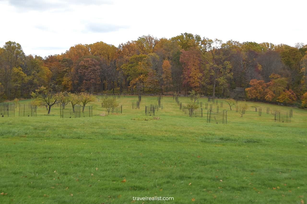 Wick Garden in Jockey Hollow in Morristown National Historical Park, New Jersey, US