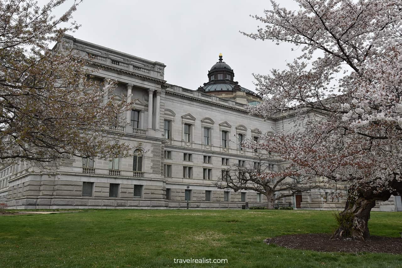 Blooming trees near Library of Congress in Washington, D.C., United States