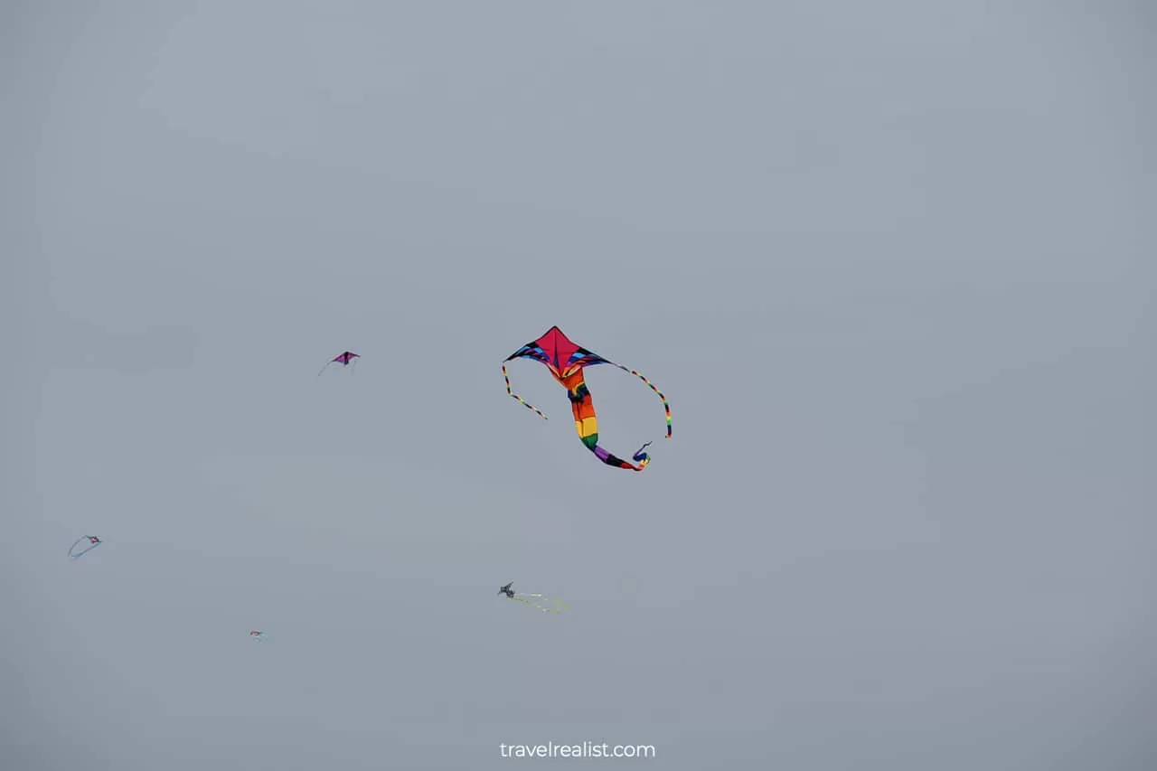 Kites flying at Cherry Blossom Festival in Washington, D.C., United States