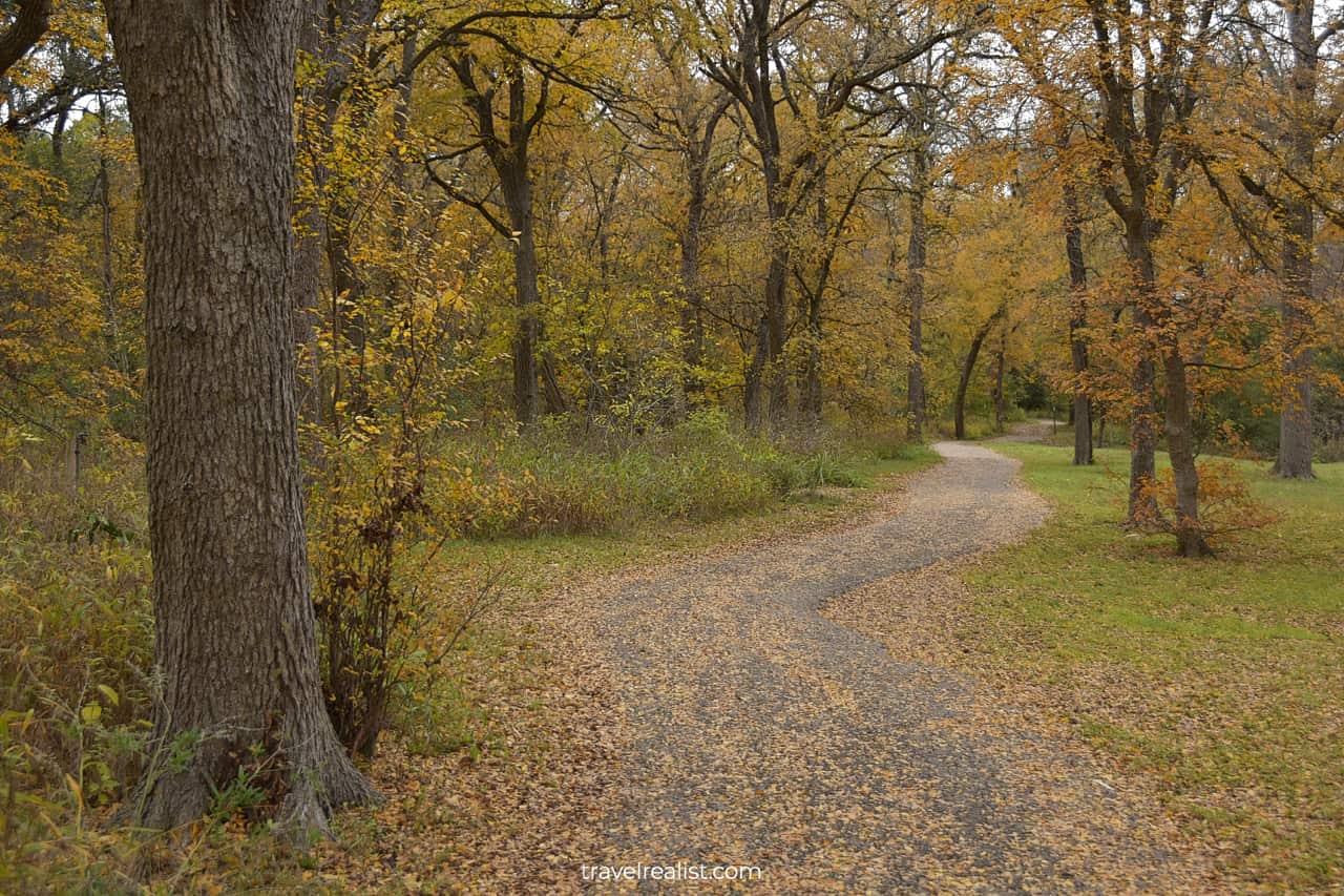Fall colors on Onion Creek Hike and Bike Trail in McKinney Falls State Park in Austin, Texas, US