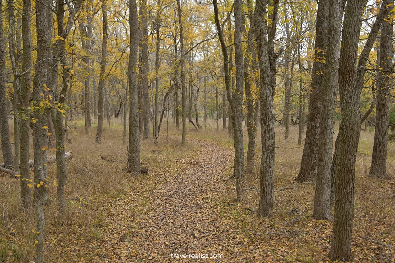 Fall foliage on trail in McKinney Falls State Park in Austin, Texas, US
