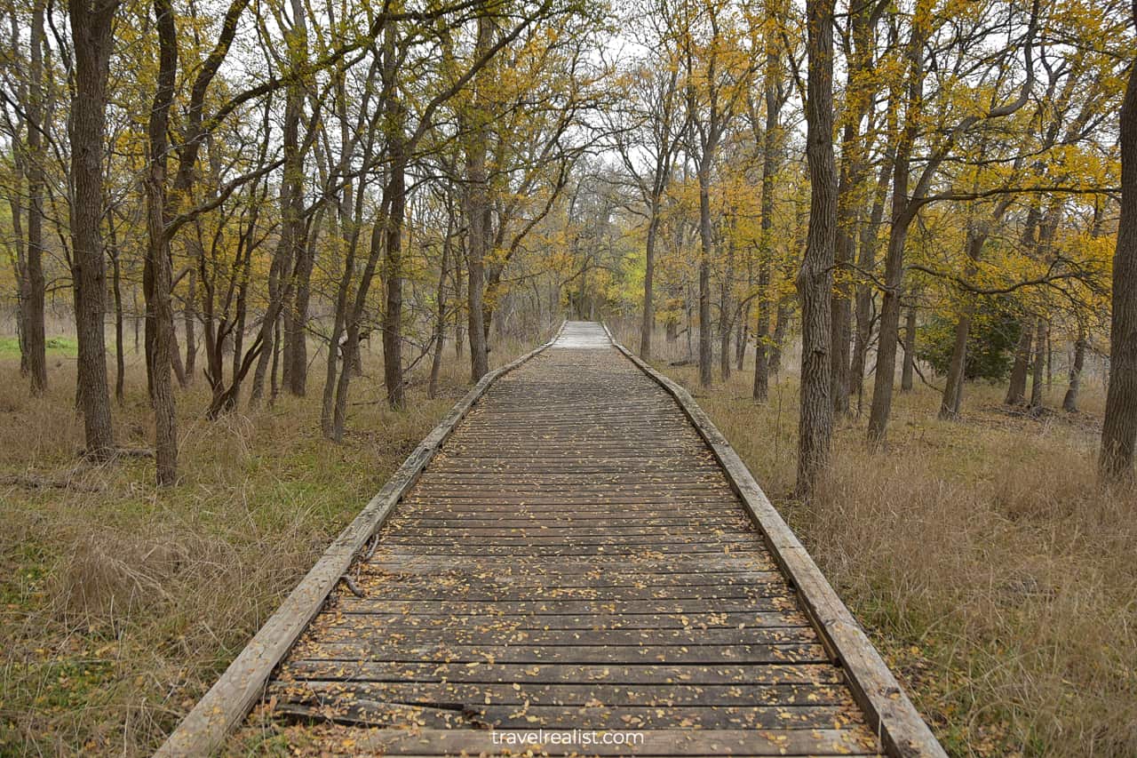 Boardwalk on Flint Rock Loop in McKinney Falls State Park in Austin, Texas, US