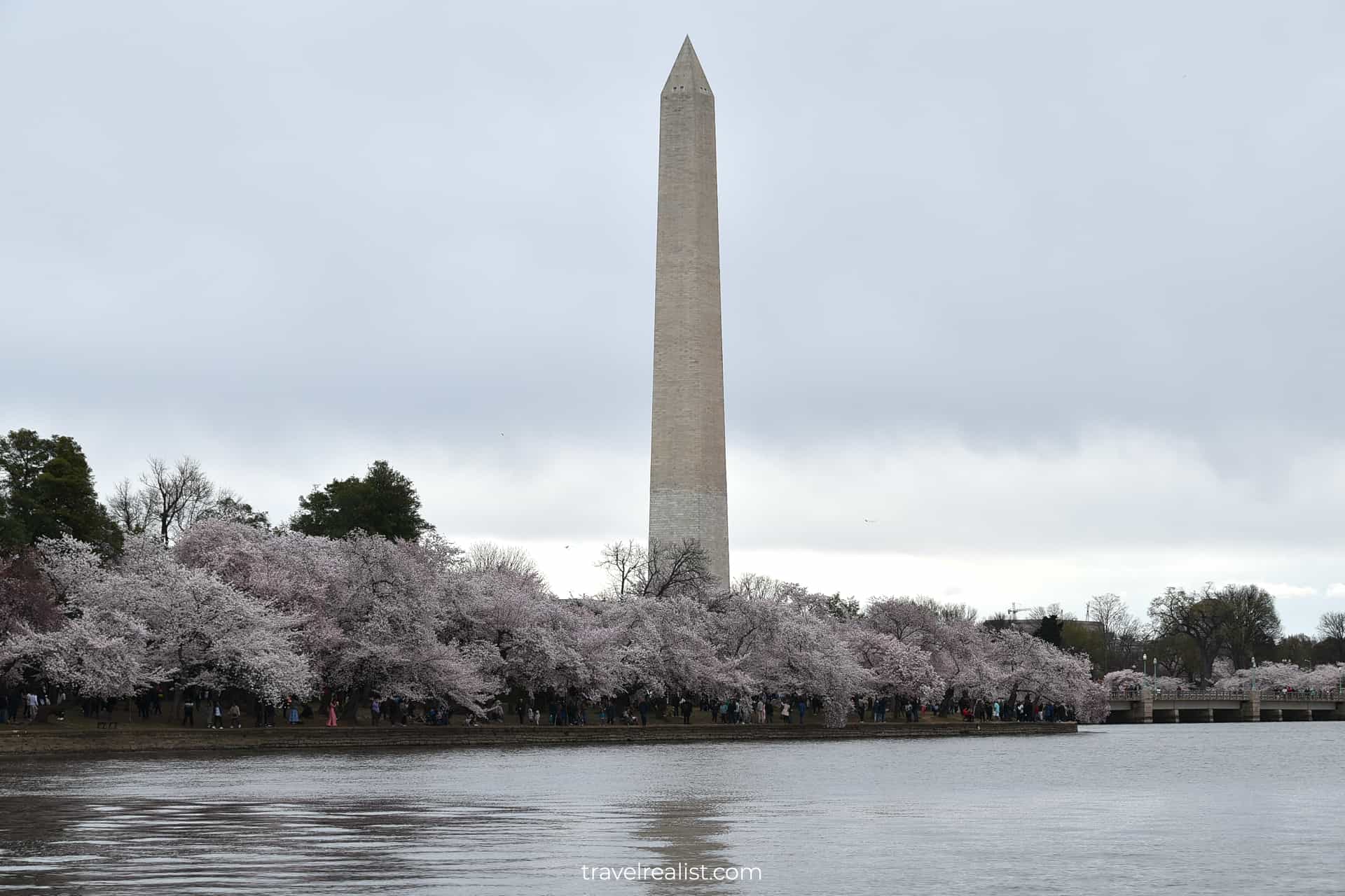 Washington Monument reflection and cherry blossom at Tidal Basin, the best place to visit in Washington, D.C., United States