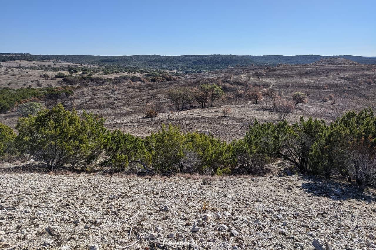 Indiangrass trail after burn in Balcones Canyonlands National Wildlife Refuge, Texas, US