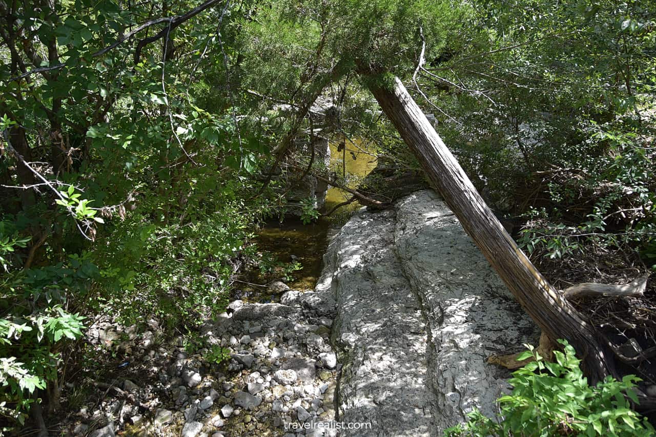 Waller Creek behind Elisabet Ney Museum in Austin, Texas, US