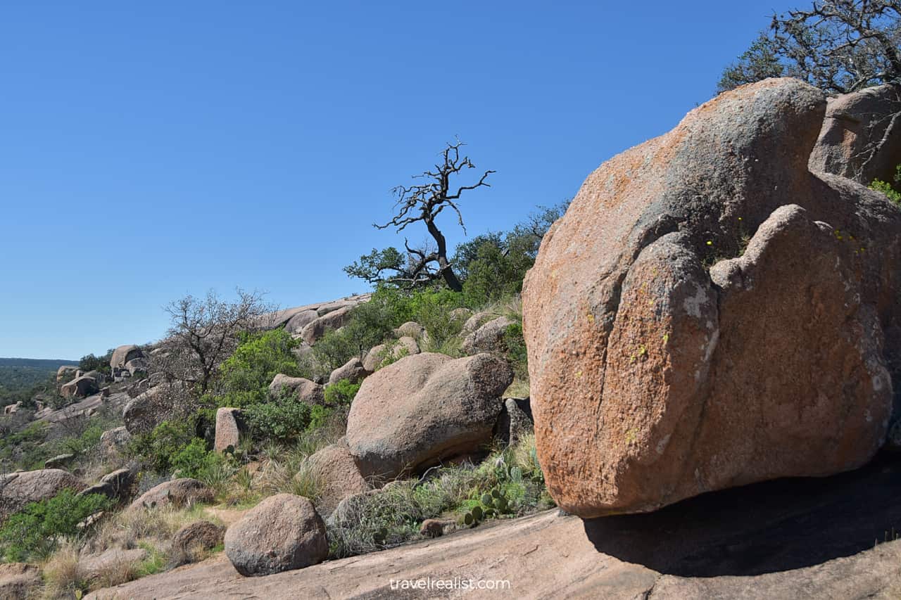 Boulders and trees in Enchanted Rock State Natural Area, Texas, US