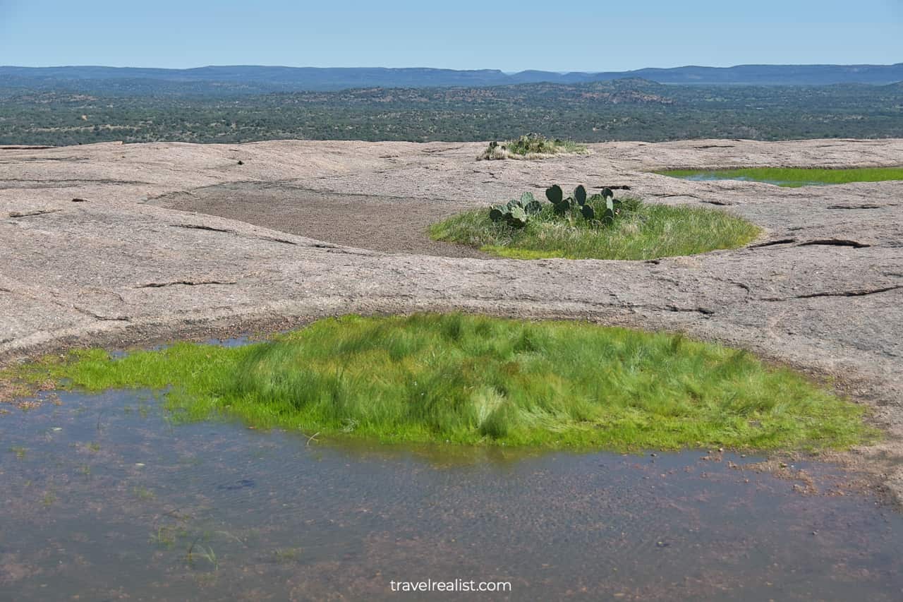 Ponds atop Enchanted Rock summit in Enchanted Rock State Natural Area, Texas, US
