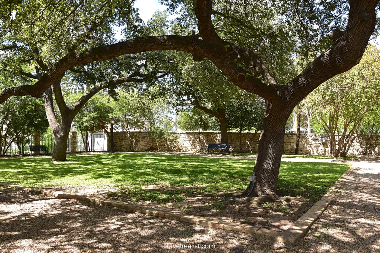 Live oak at French Legation State Historic Site in Austin, Texas, US