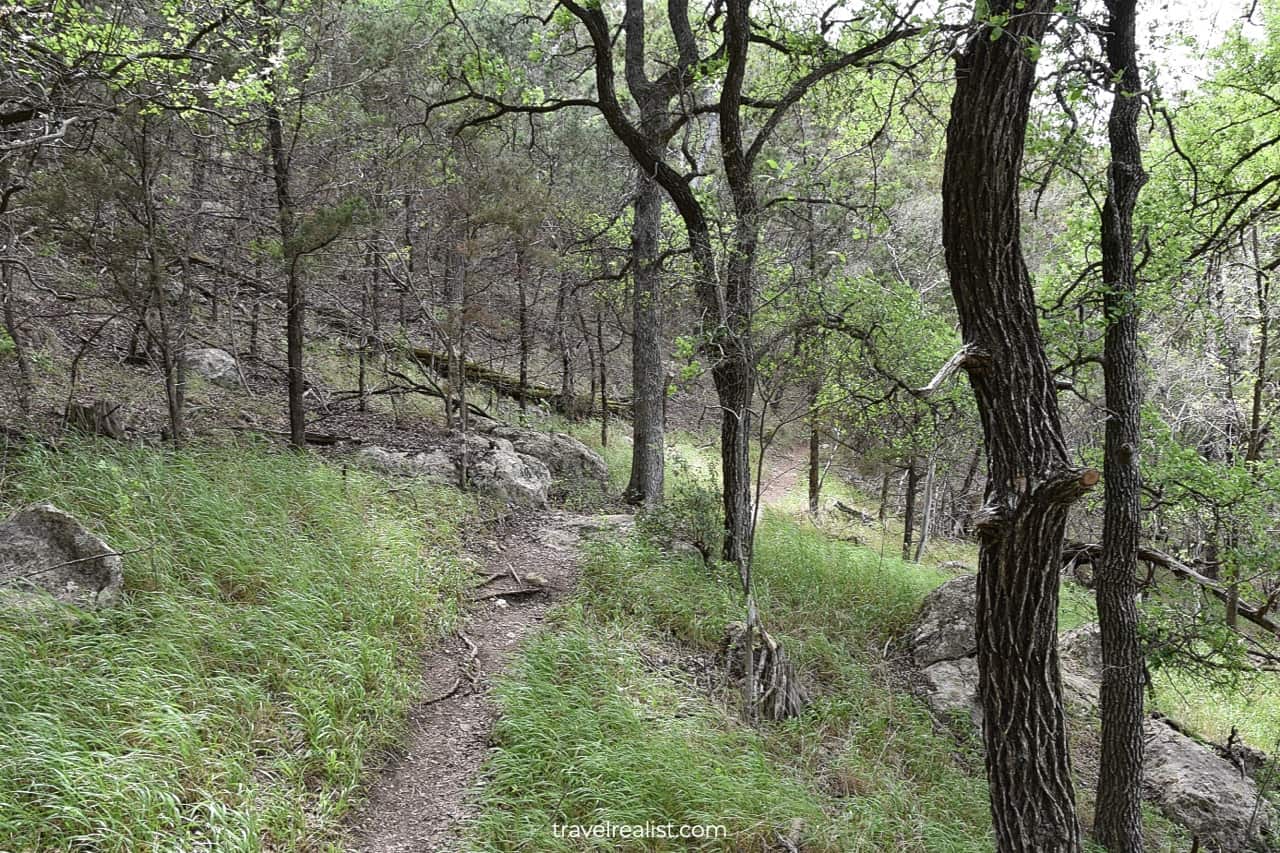 Oaks and rocks on trail in Grelle Recreation Area, Spicewood, Texas, US