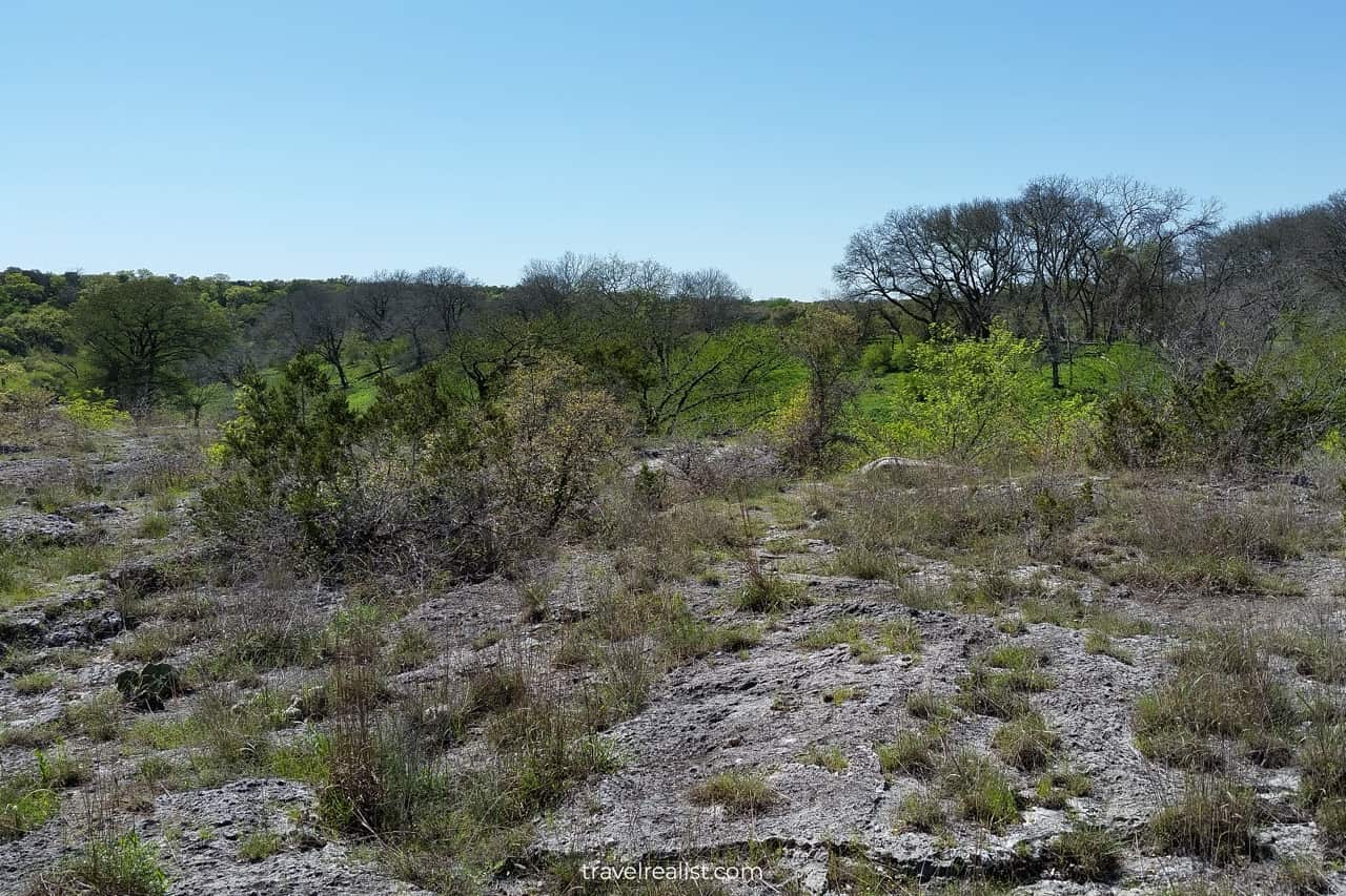 Cedar Sage River Trail in Guadalupe River State Park near San Antonio, Texas, US