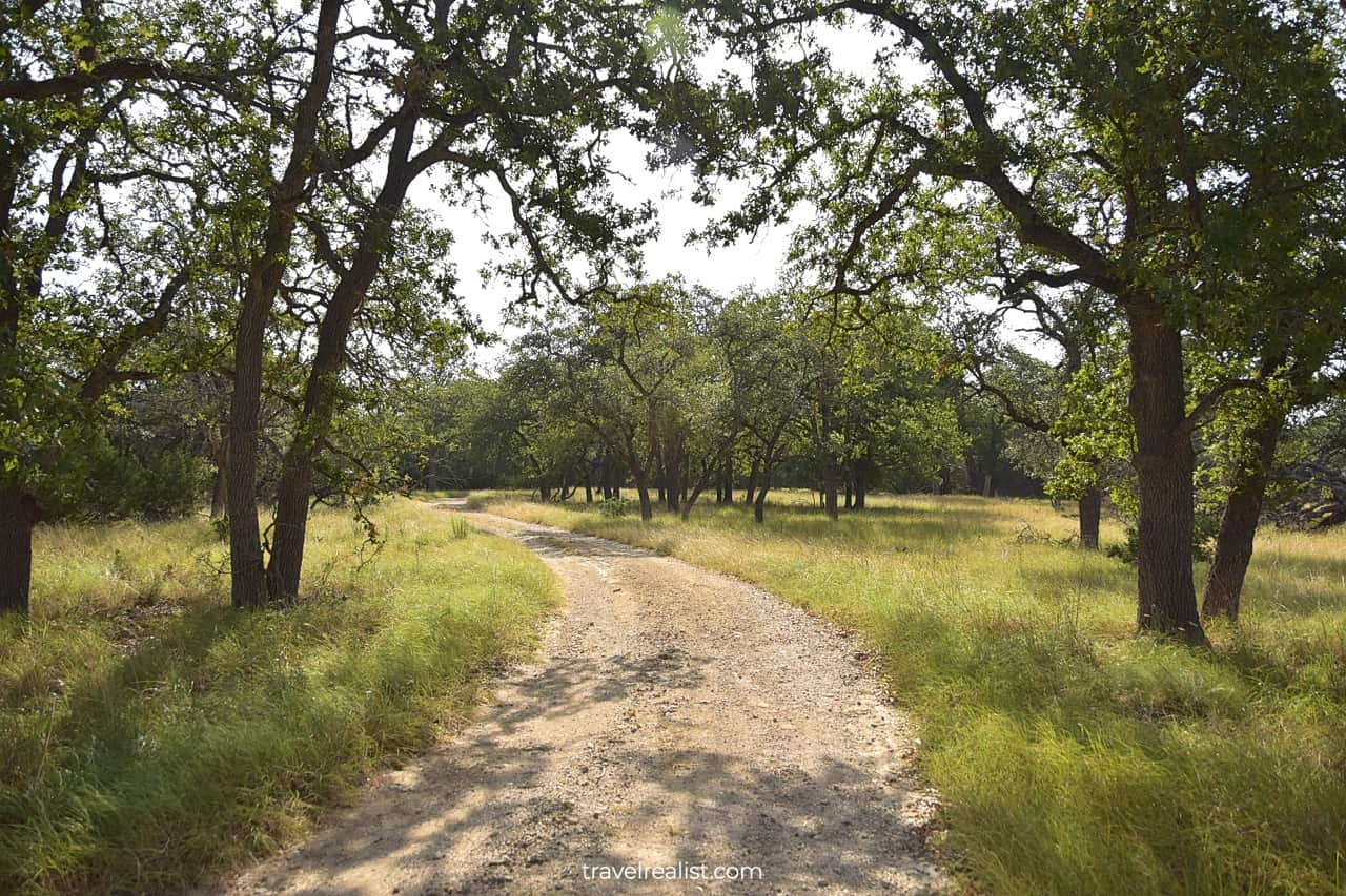 Gravel road through oak groves and meadows in Honey Creek State Natural Area near San Antonio, Texas, US