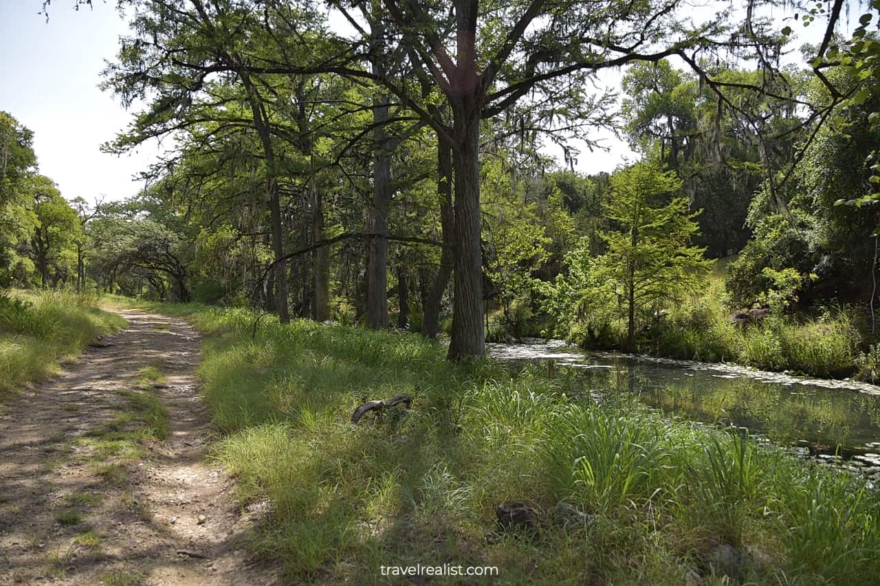 Service road next to Honey Creek in Honey Creek State Natural Area near San Antonio, Texas, US