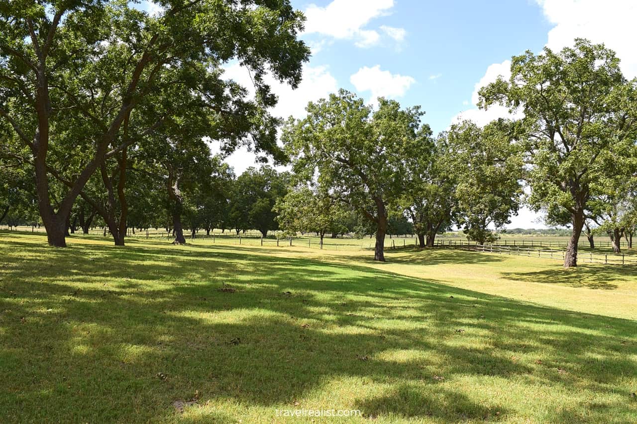 Pastures in Lyndon B. Johnson National Historical Park, Texas, US
