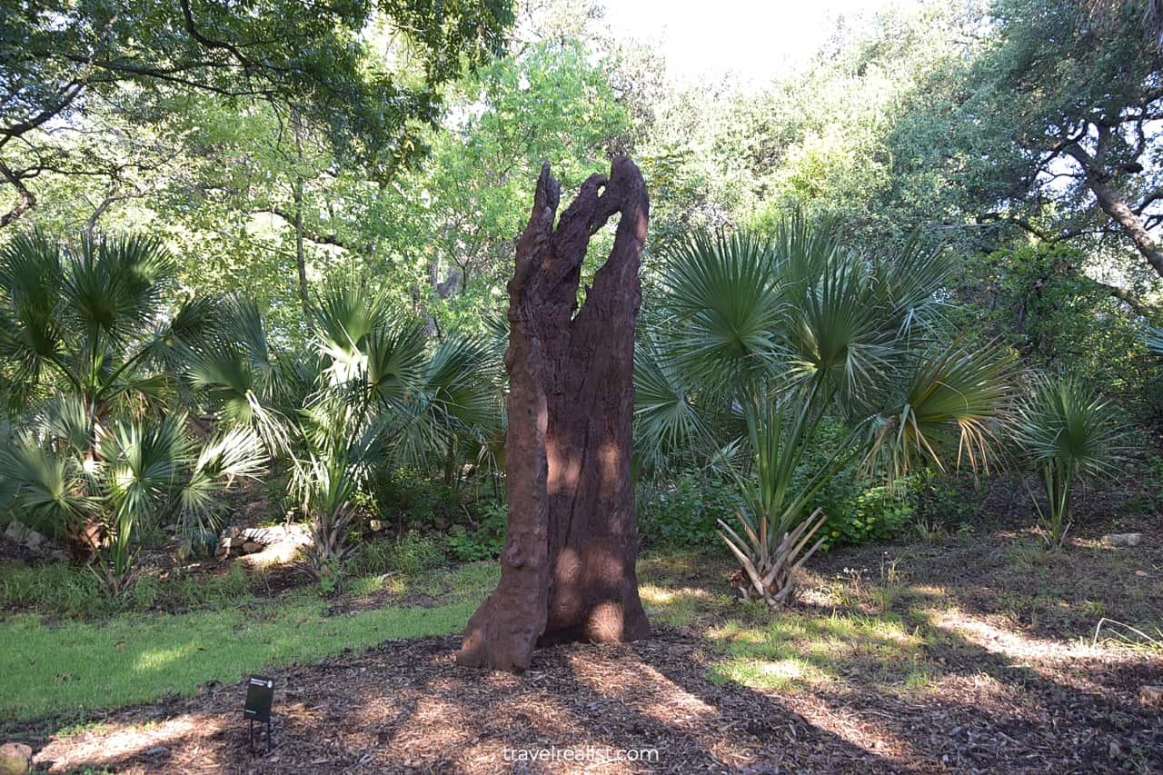 Iron Tree Trunk in The Contemporary Austin Laguna Gloria in Texas, US