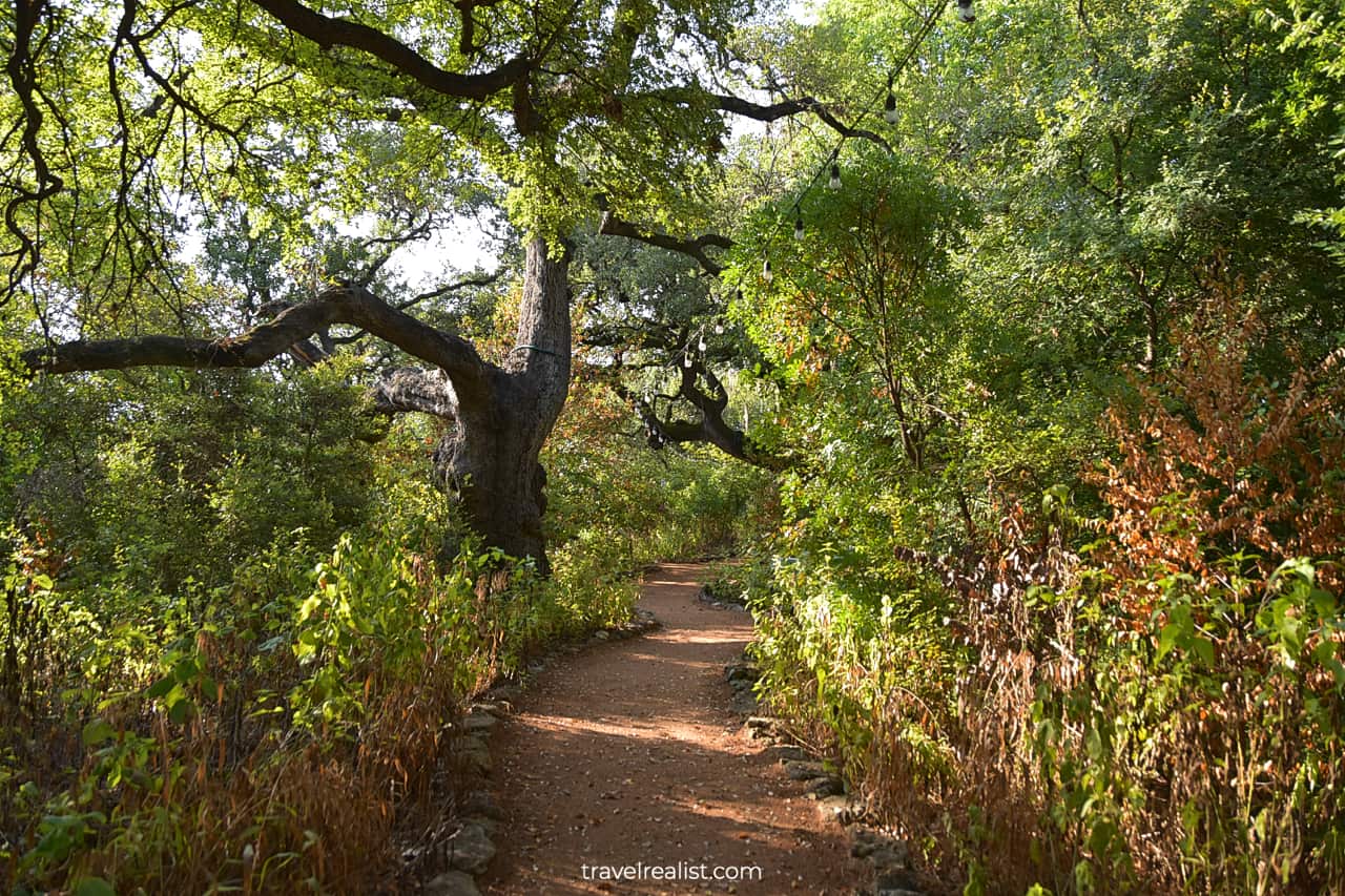 Walking path in The Contemporary Austin Laguna Gloria in Texas, US