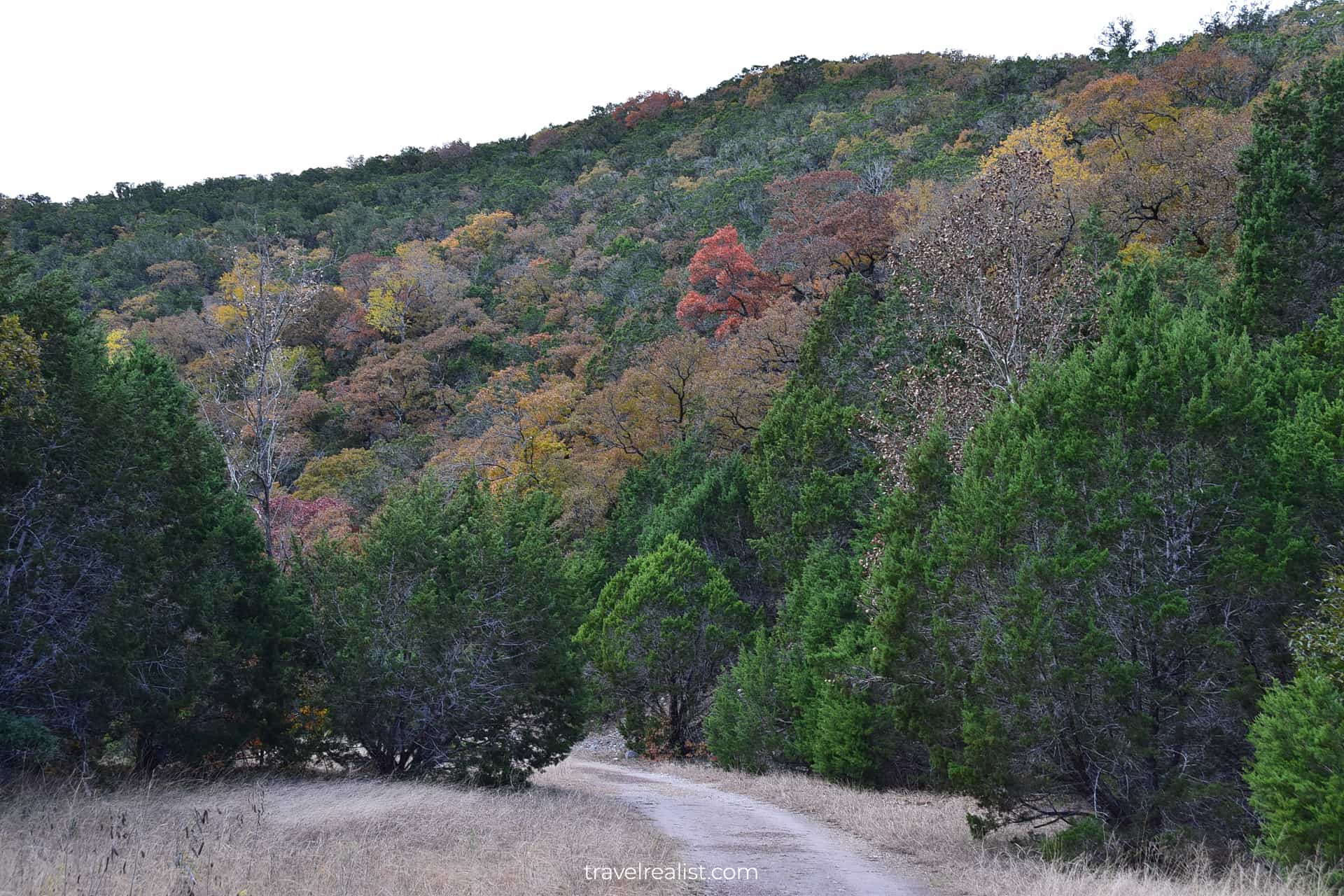 Vivid fall colors on West Trail in Lost Maples State Natural Area, Texas, US