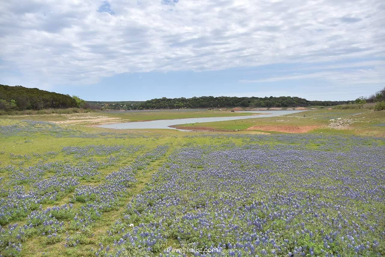 Bluebonnet fields and Colorado River in Muleshoe Bend Recreation Area near Austin, Texas, US