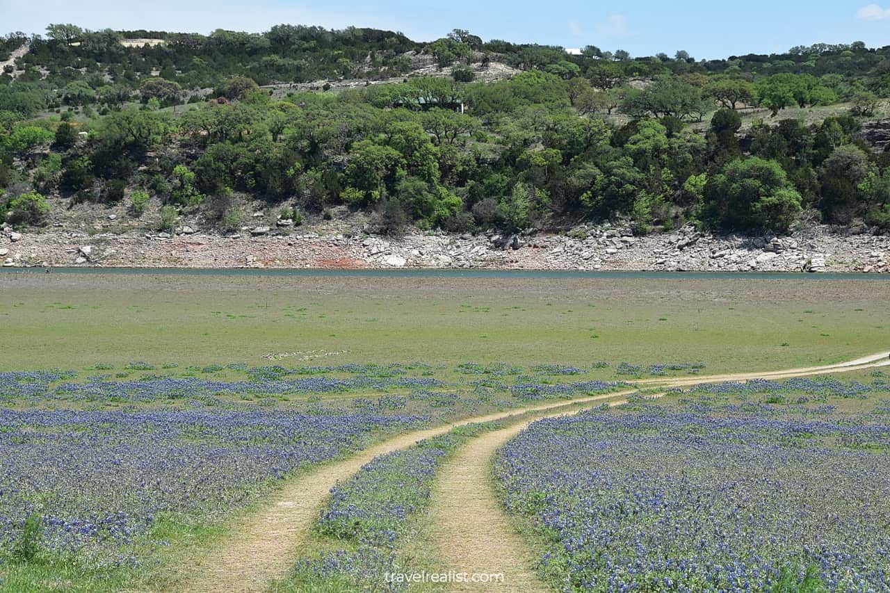 Country road through Bluebonnet fields in Muleshoe Bend Recreation Area near Austin, Texas, US