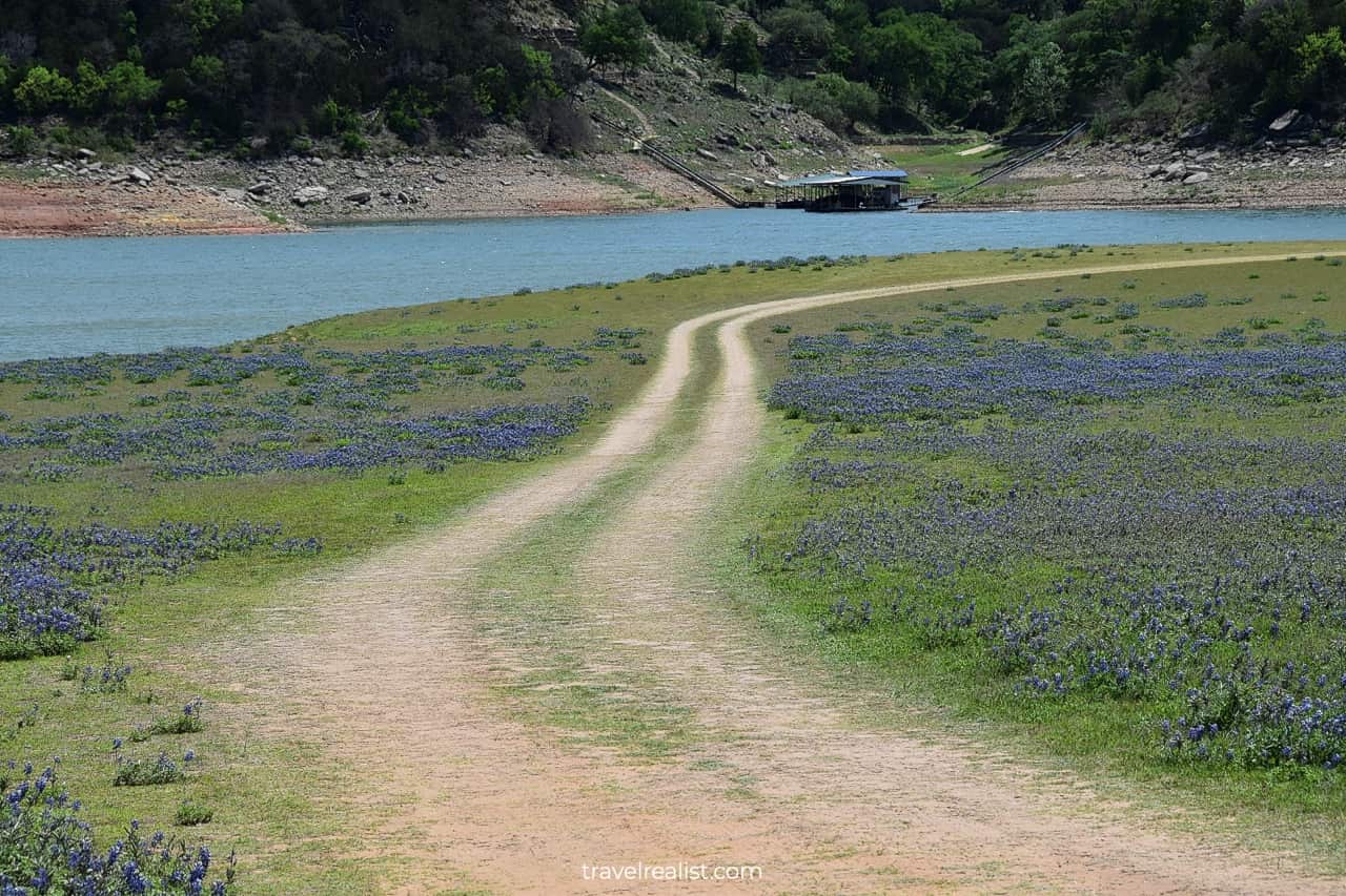 Country road to Lake Travis via bluebonnet meadow in Muleshoe Bend Recreation Area near Austin, Texas, US