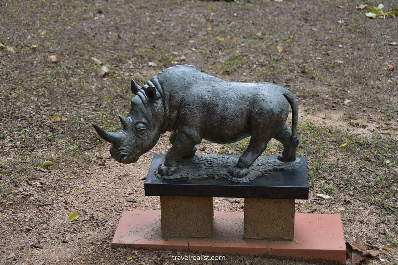 Rhino sculpture in Umlauf Sculpture Garden & Museum in Austin, Texas